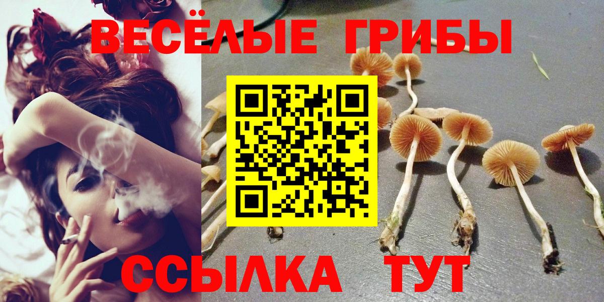 где продают наркотики  Вход с VPN  Валуйки  Псилоцибиновые грибы Cubensis  Галлюциногенные грибы прущие грибы 